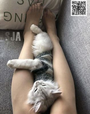 《朋友的未婚妻》1_高清版日韩电影在线