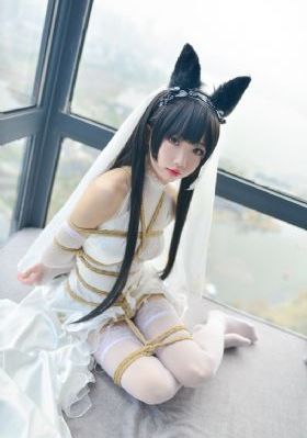 追爱家族电视剧免费观看完整版_DVD高清视频观看