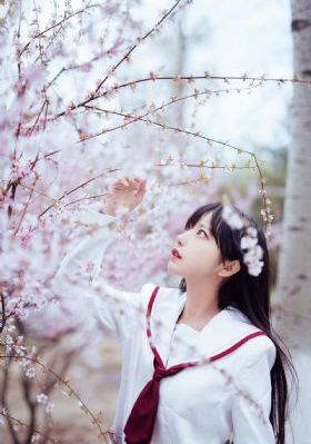 缘之空._720高清免费观看
